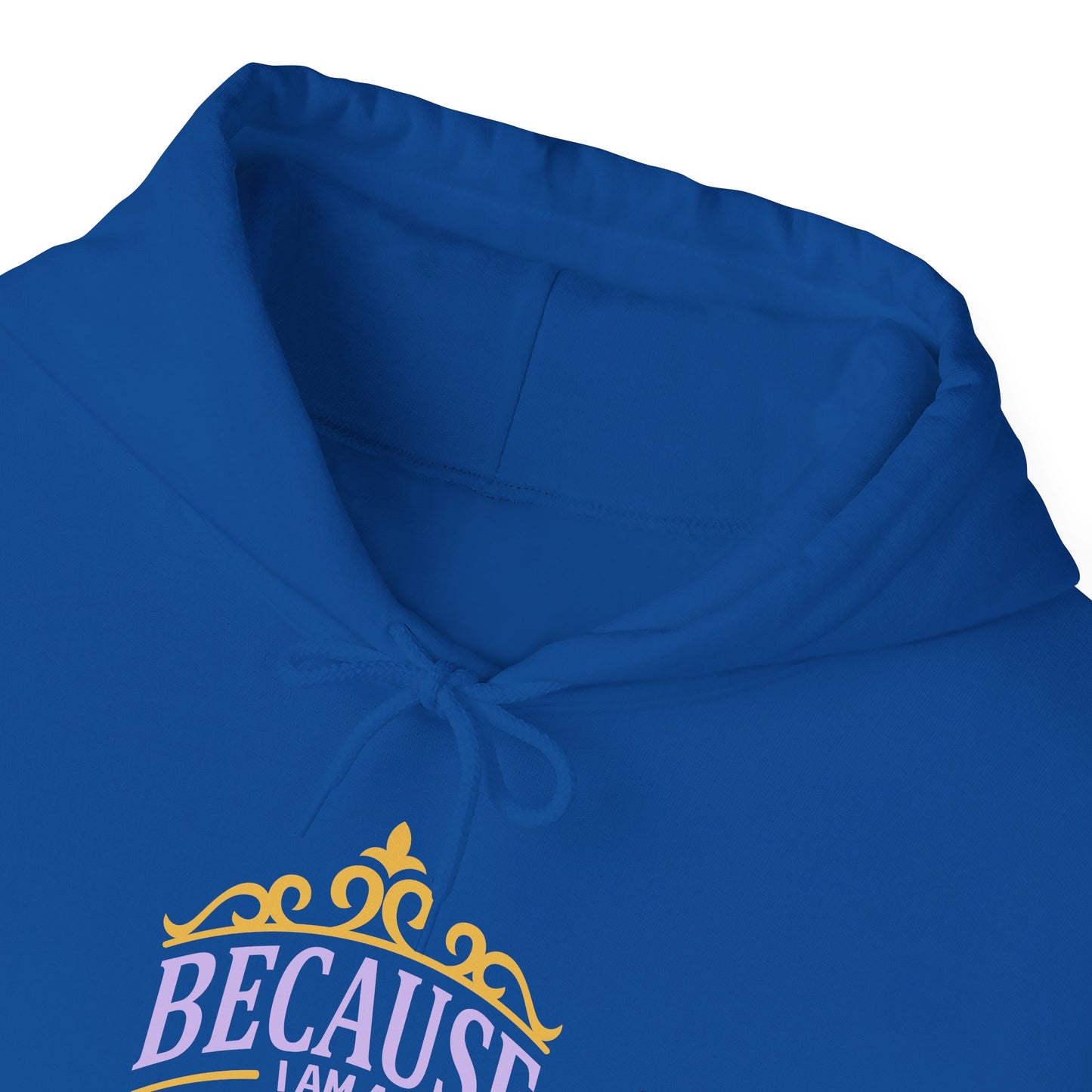 Princess hoodie - Crown Unisex Hoodie - Cute Gift for Women, Birthday Apparel, Cozy Casual Wear, Fun Princess Sweatshirt, Holiday Gift